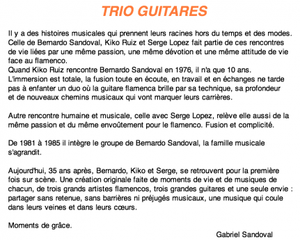 Trio Guitares